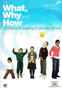 The What, Why and How of Children's Learning in Primary School