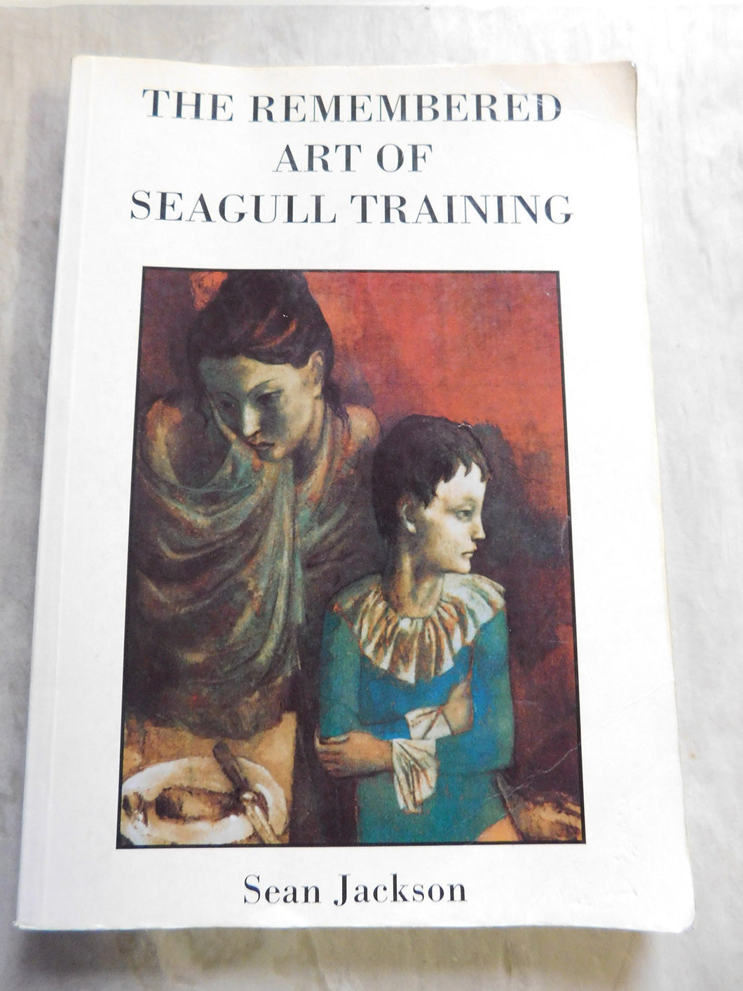 The Remembered Art of Seagull Training