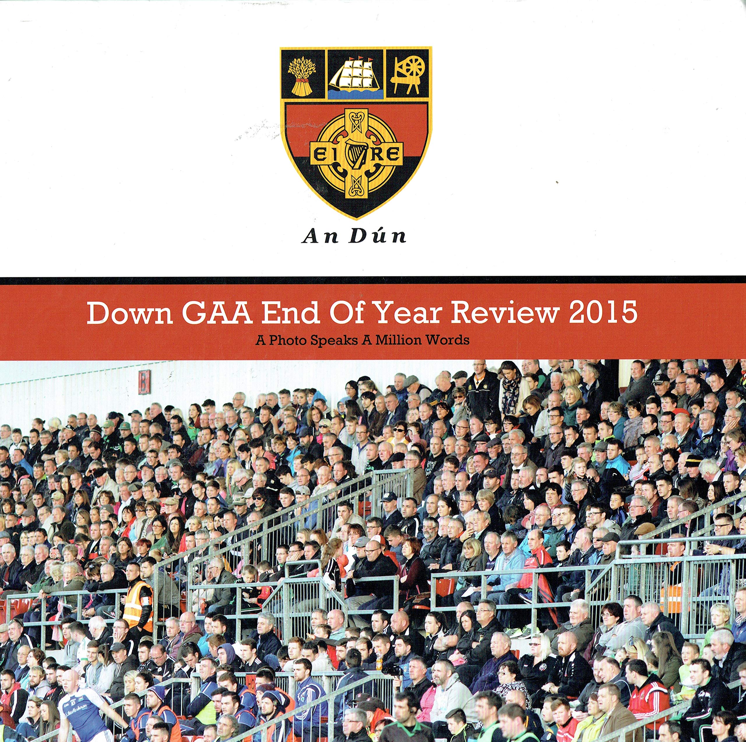 Down GAA End of Year Review 2015: A Photo Speaks a Million Words