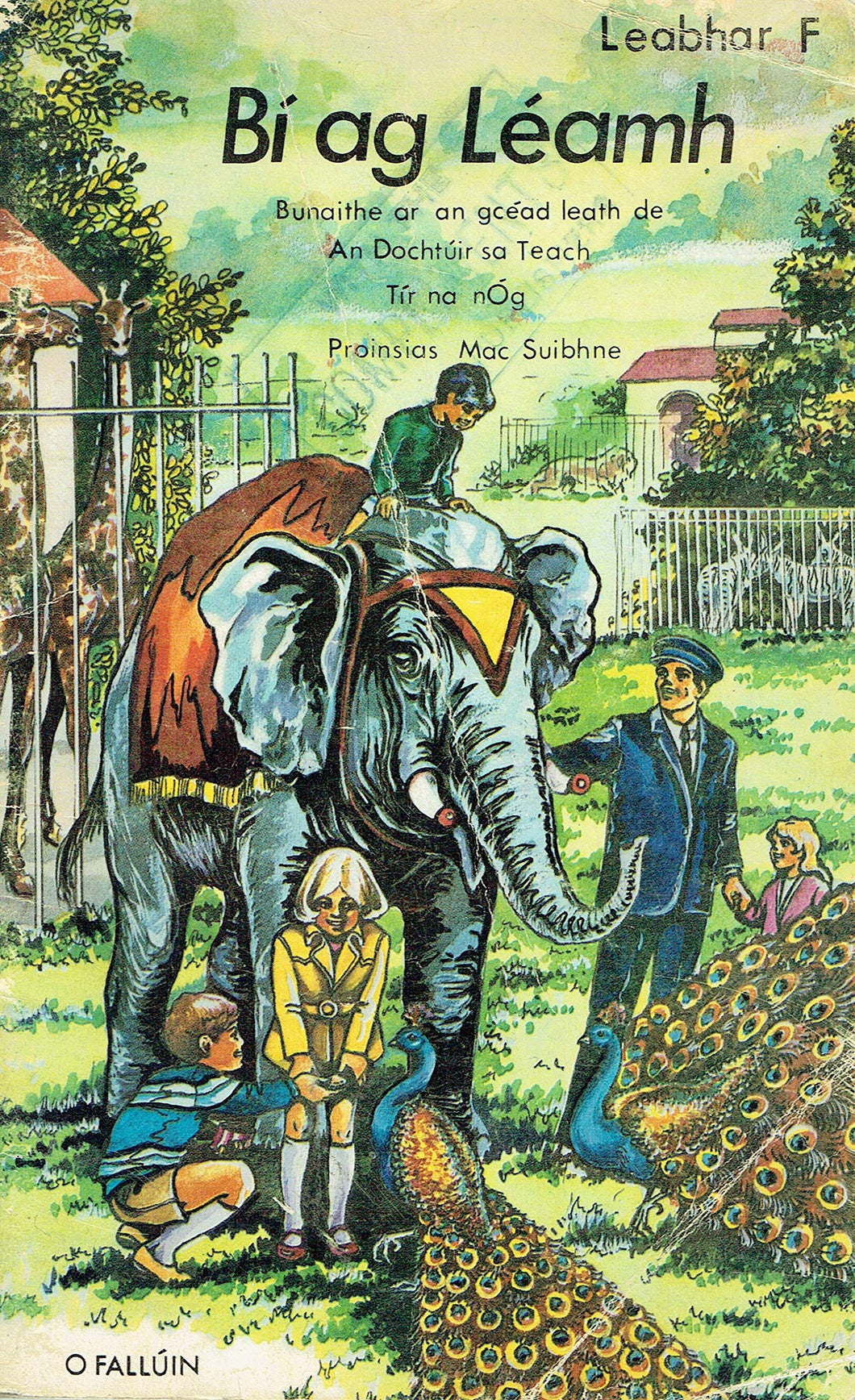 Bí Ag Léamh, Leabhar F - Bunaithe ar an gCéad Leath de: An Dochtúir sa Teach, Tír na nÓg