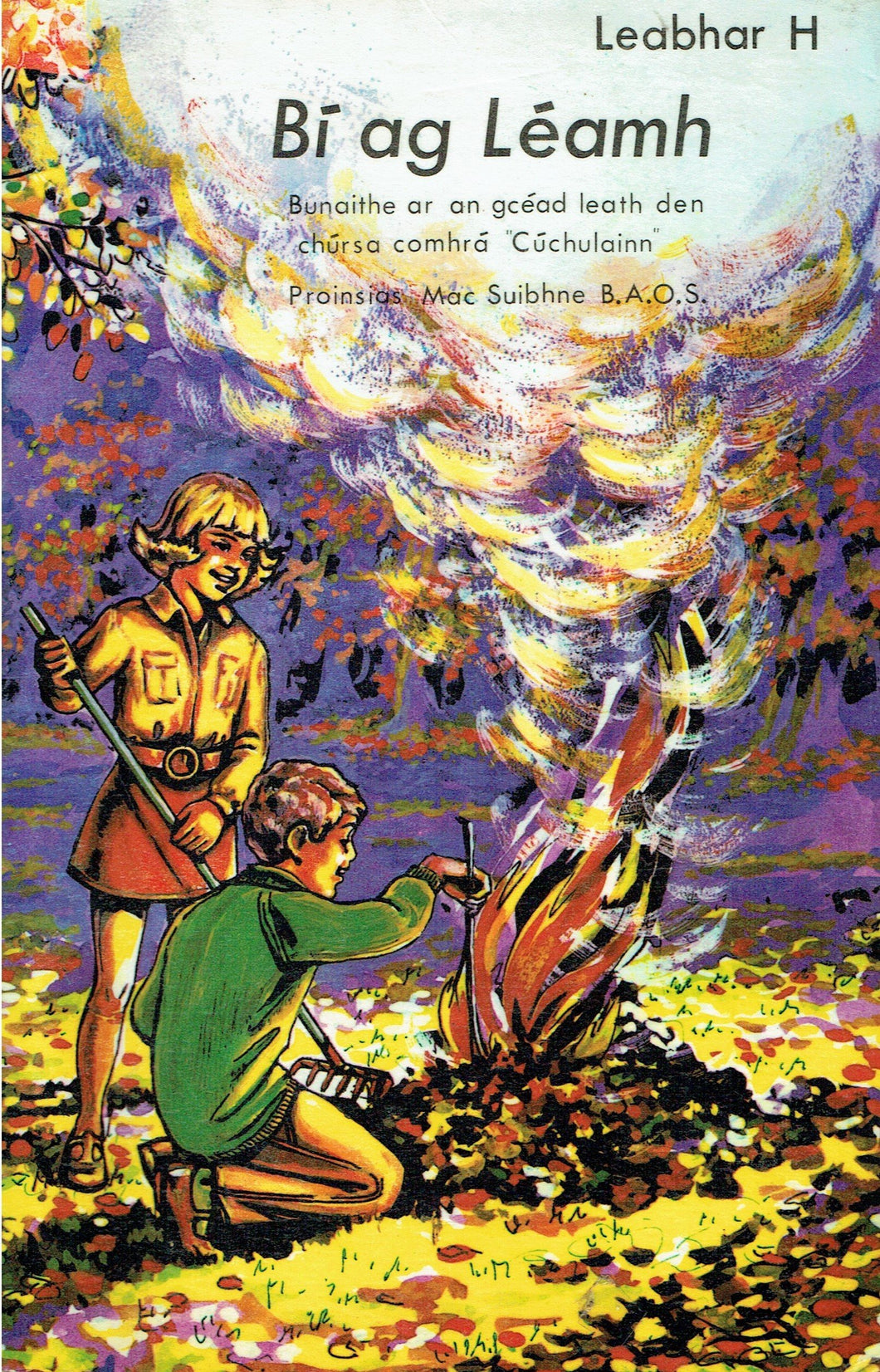 Bí ag Léamh - Leabhar H: Bunaithe ar an gcéad leath den chúrsa comhr a 
