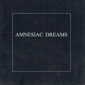 Amnesiac Dreams : An Exhibition of photographic works and apparatus by Remco de Fouw at the Kevin Kavanagh Gallery Dublin.