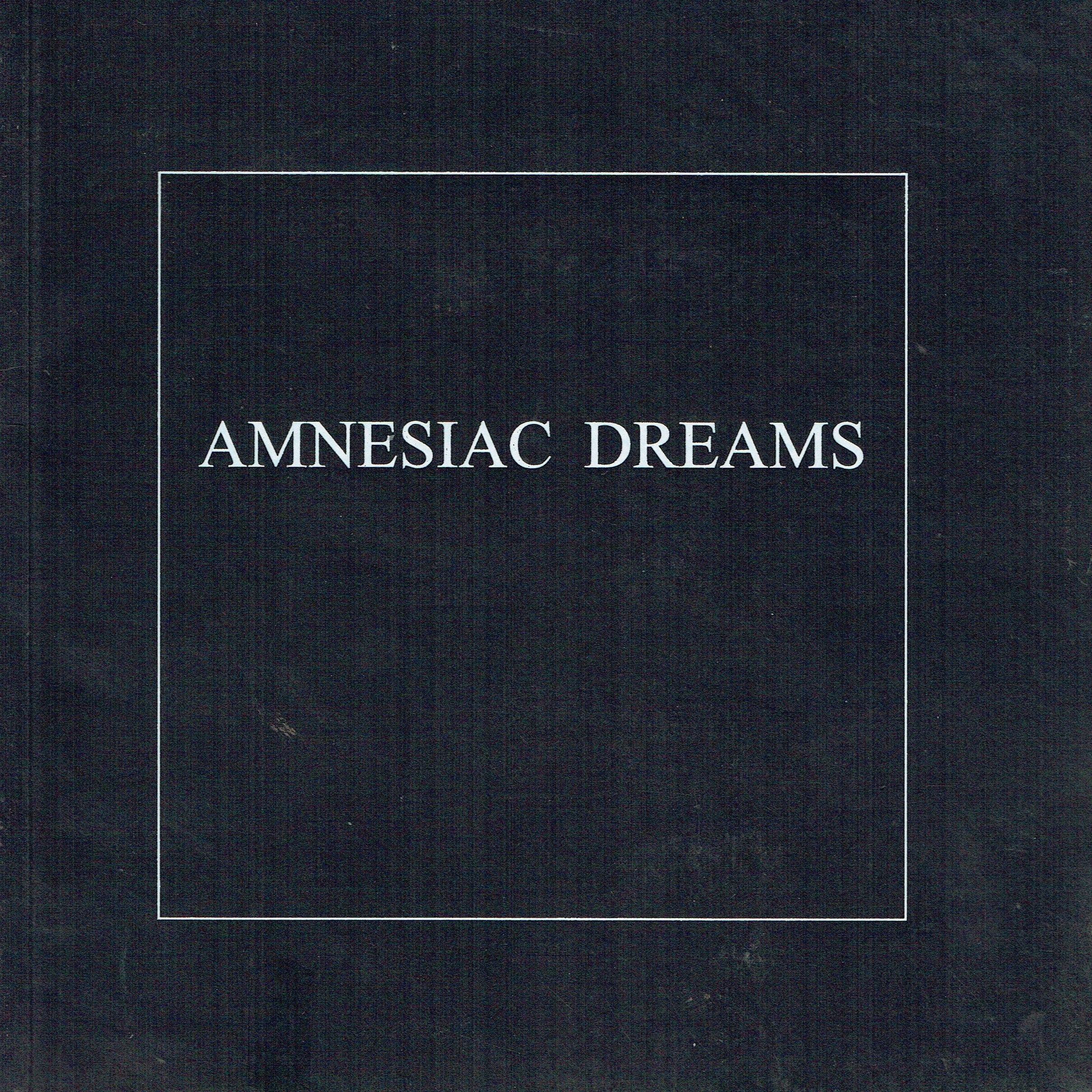 Amnesiac Dreams : An Exhibition of photographic works and apparatus by Remco de Fouw at the Kevin Kavanagh Gallery Dublin.