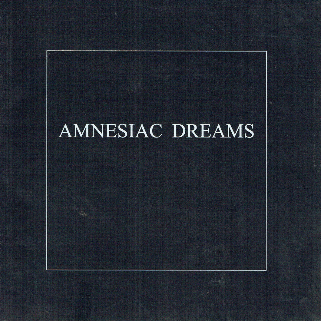 Amnesiac Dreams : An Exhibition of photographic works and apparatus by Remco de Fouw at the Kevin Kavanagh Gallery Dublin.