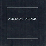 Amnesiac Dreams : An Exhibition of photographic works and apparatus by Remco de Fouw at the Kevin Kavanagh Gallery Dublin.