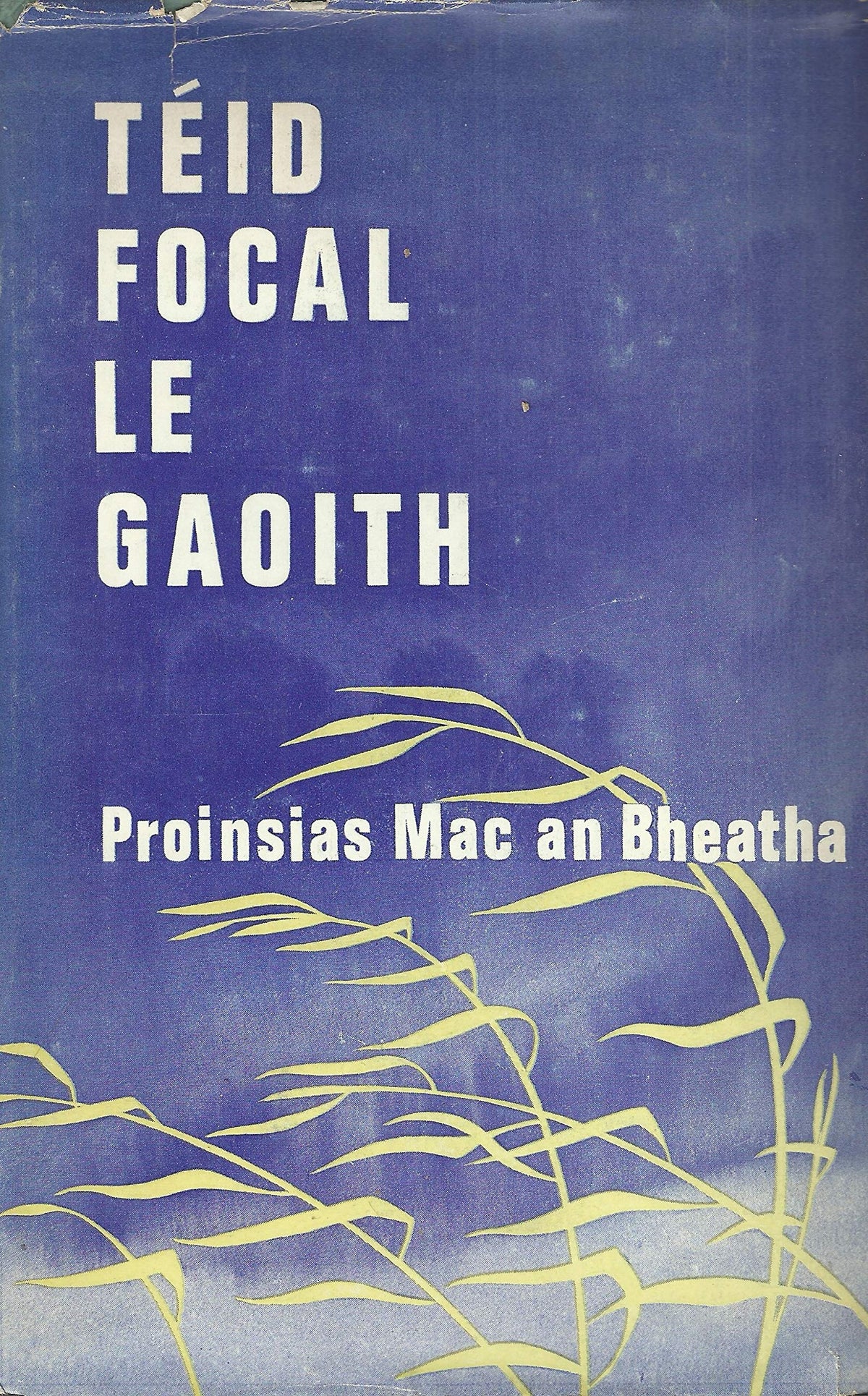Teid Focal Le Gaoith