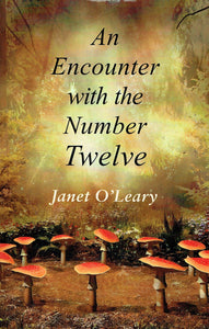 An Encounter with the Number Twelve