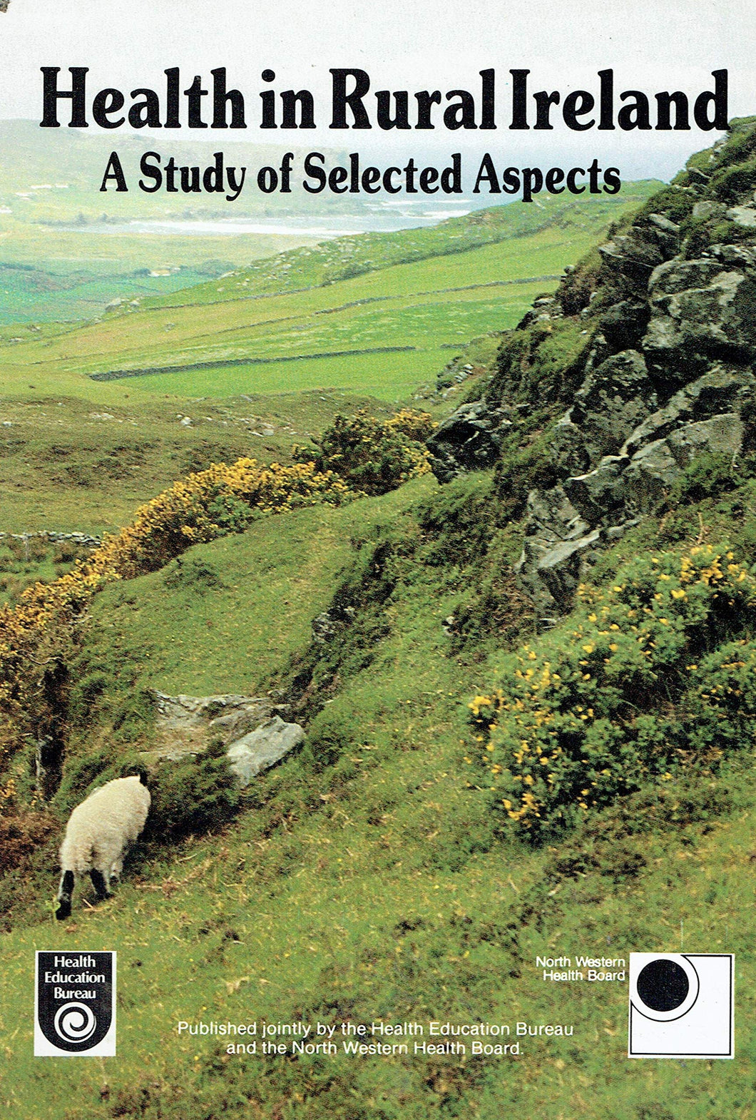 Health in rural Ireland: A study of selected aspects