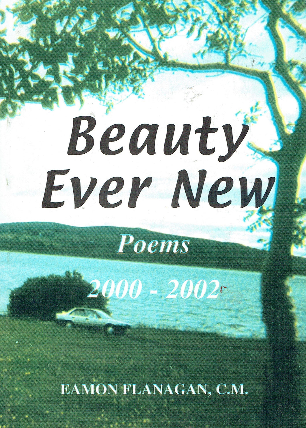 Beauty Ever New: Poems 2000-2002