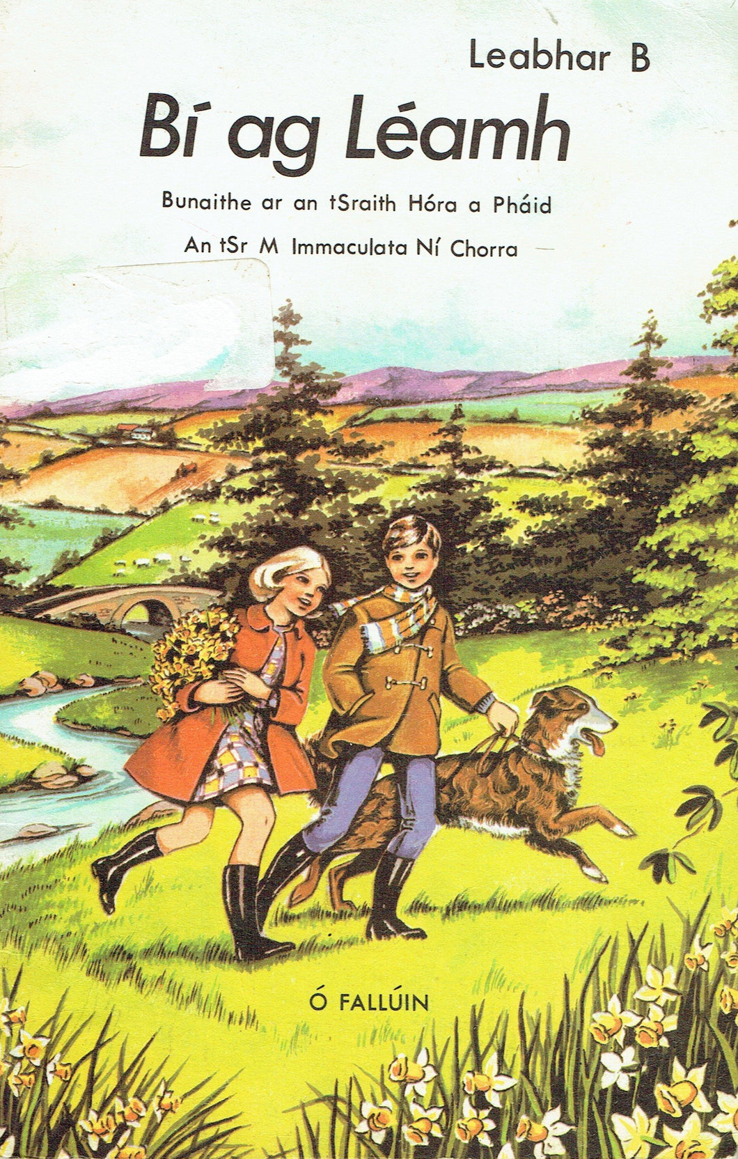 Bí ag Léamh, Leabhar B: Bunaithe ar an tSraith Hóra a Pháid