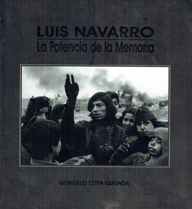 Luis Navarro: la potencia de la memoria (Colección Imaginarios)