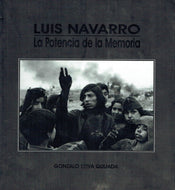 Luis Navarro: la potencia de la memoria (Colección Imaginarios)