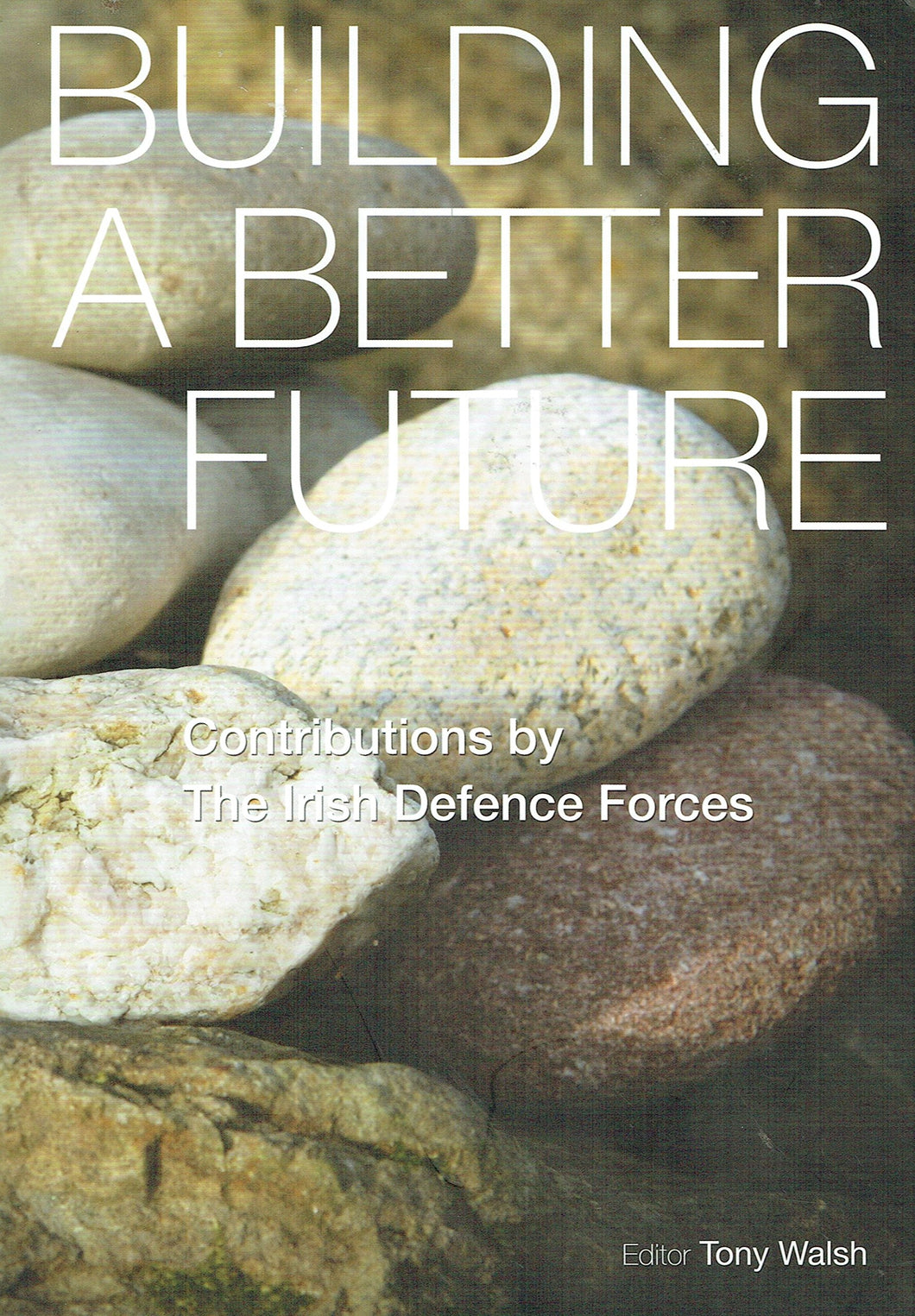Building a Better Future: Contributions by the Irish Defence Forces