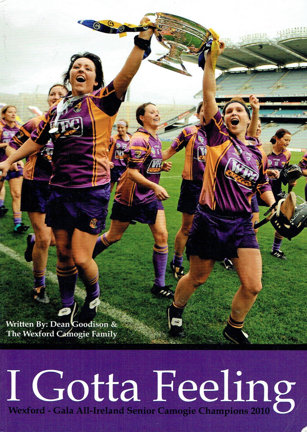 I Gotta Feeling: Wexford - Gala All-Ireland Senior Camogie Champions 2010
