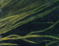 Stephen Loughman: The Lake