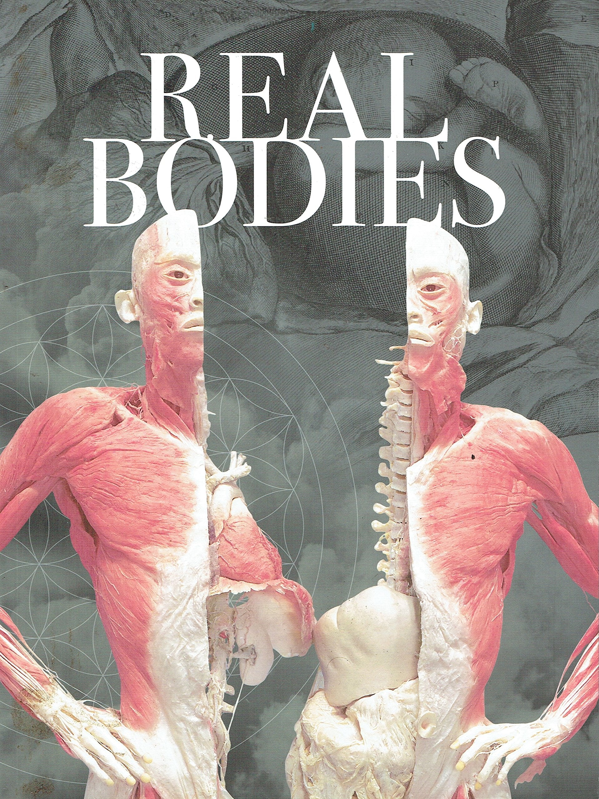 Real Bodies (Imagine Exhibitions)