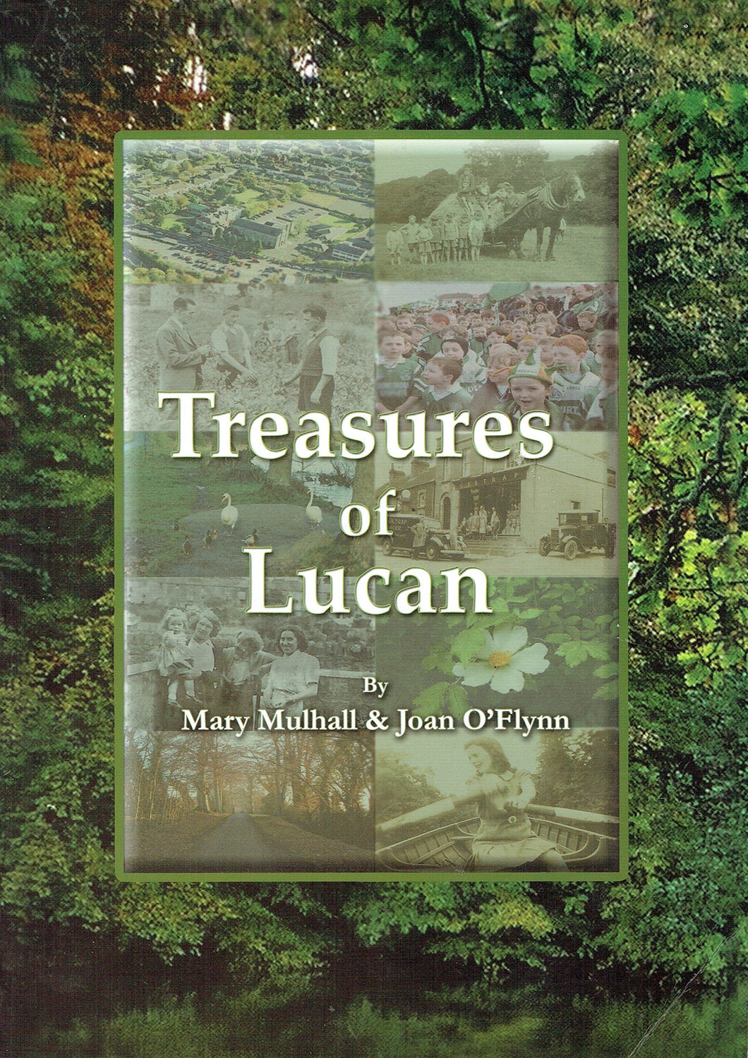 Treasures of Lucan